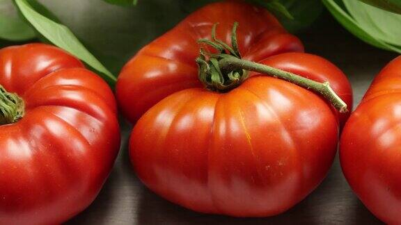 新鲜罗勒番茄