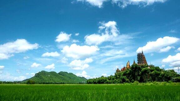 4k延时在泰国北碧府老虎洞寺(WatThamSua)美丽的天空和绿色的玉米地