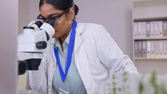显微镜研究和科学家在实验室植物分析和天然药物或药物试验病毒、细菌和科学家数字技术和可持续增长的检查
