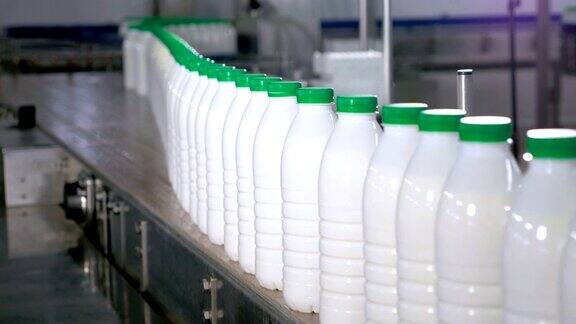 工厂里的传送带上有许多装着牛奶的瓶子在移动