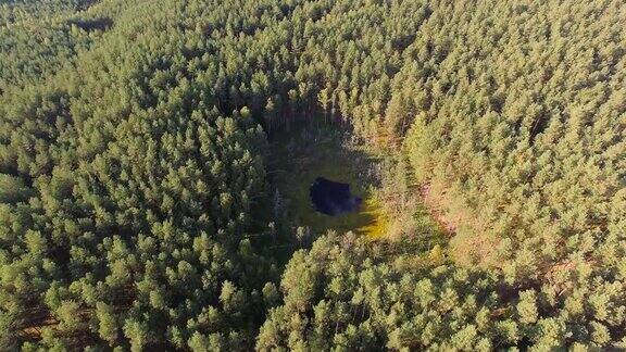 池塘被森林包围鸟瞰图为4k