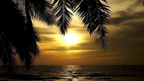 日落或日出的热带海滩与棕榈树框架在普吉岛泰国