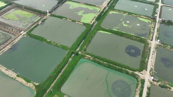 中国广东省的鱼塘