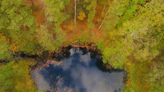 鸟瞰图飞过森林湖空中无人机拍摄的