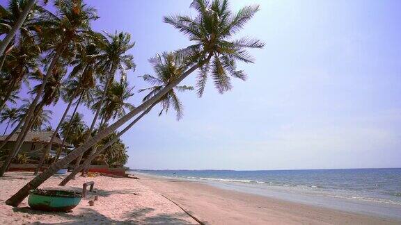 夏日午后椰子树斜向热带大海