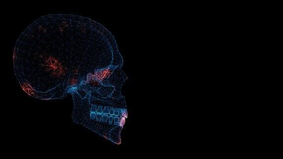 3D颅骨扫描颅骨扫描接口HUD头骨分析【医学】解剖学概念用于标题文本演示3d动画60FPS