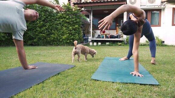年轻的健身夫妇和宠物狗在屋外的花园练习瑜伽亚洲女人和白人男人在公园户外训练