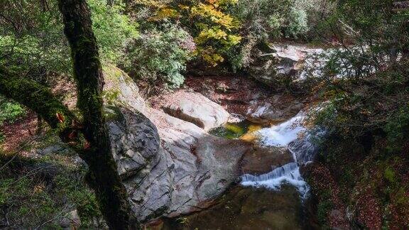 秋天的山谷里瀑布随着落叶流淌