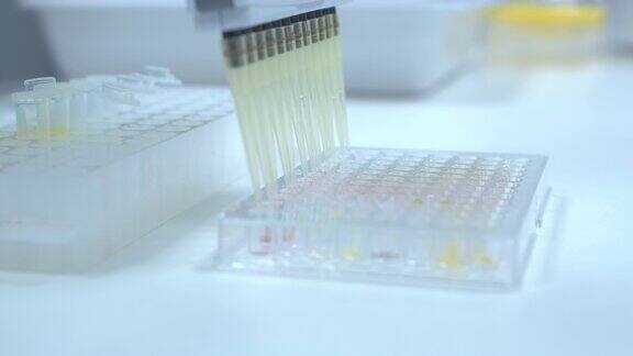 科学家使用多通道移液管分配器倒液体