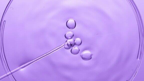 气泡从滴管中流出漂浮在培养皿中的液体上