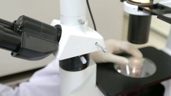 在实验室里观察显微镜的研究人员概念科学与技术