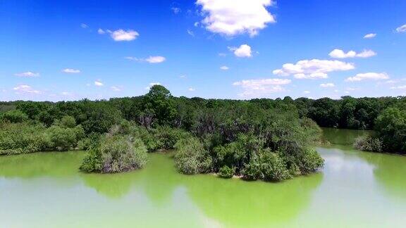 空中的自然保护区在佛罗里达中部