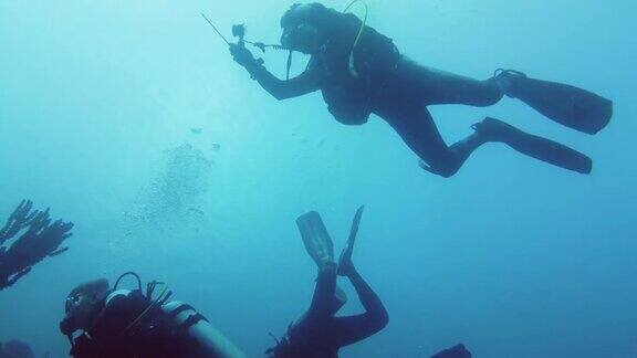 潜水员在水下莱特岛、菲律宾