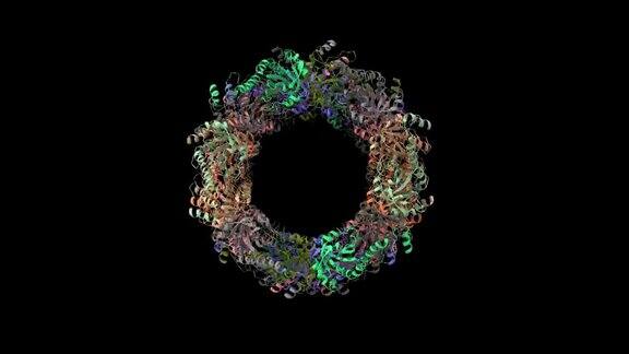 人过氧还蛋白3的结构为三个堆叠环