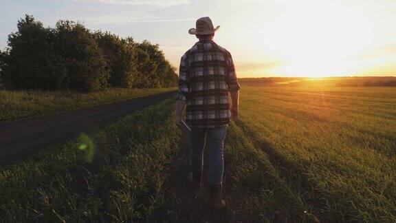 商人农民在美丽的夕阳下走在田野上后视图男农民沿着田野走在路上手里拿着一块碑农学家在绿地上拿着药片