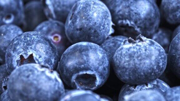 蓝莓越橘新鲜水果自然4K幻灯片素材
