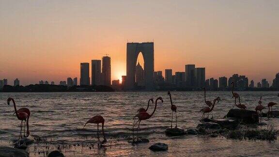 时光流逝金鸡湖夕阳