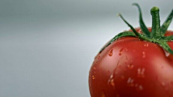 SLOMOCU湿番茄在桌子上旋转