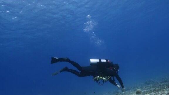 水肺潜水员清洁加勒比海珊瑚礁库拉索岛珊瑚礁清理