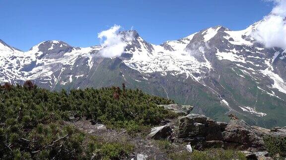 Hohetauren与匍匐松前景第32部分