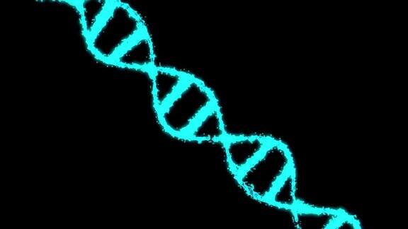 数字全息蓝色DNA旋转的DNA链是由单个元素组装而成的基因工程的科学概念科学的片段4k