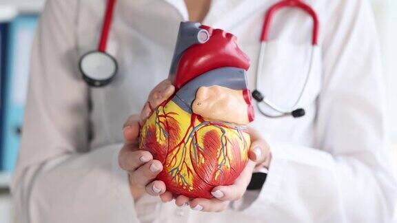 医生手里拿着人造塑料人心脏特写4k电影慢动作