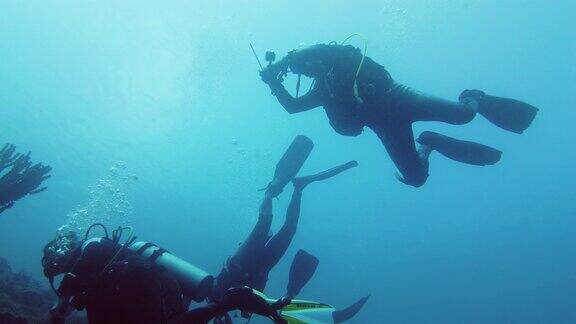 潜水员在水下莱特岛、菲律宾