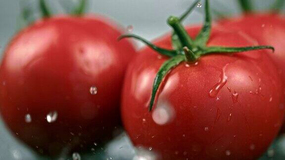 湿西红柿掉在桌子上