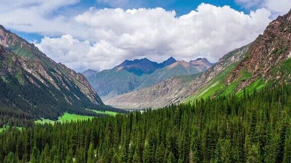 航拍新疆山脉和绿色森林自然景观