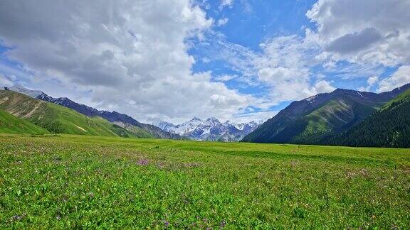 新疆的绿色草原和山地景观