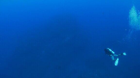 在海底暗礁潜水