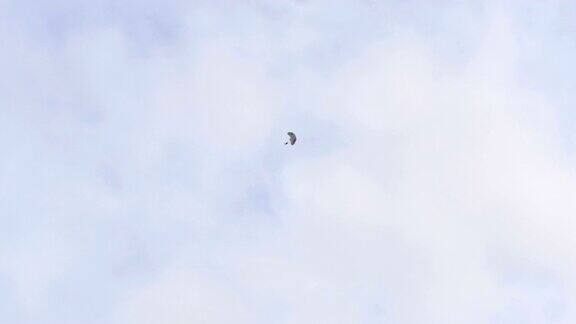 伞兵打开降落伞速度为60fps