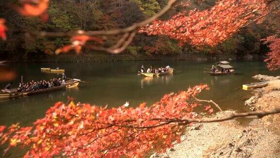 在秋叶林里的桂河中乘船感受日本文化