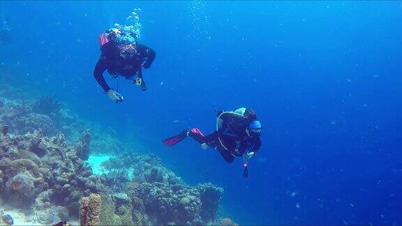 两位女性在海里潜水