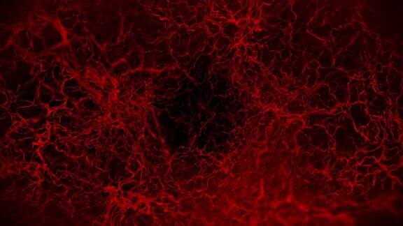 人体血管的三维循环动画红色的毛细血管黑色背景上的眼血解剖背景医学概念