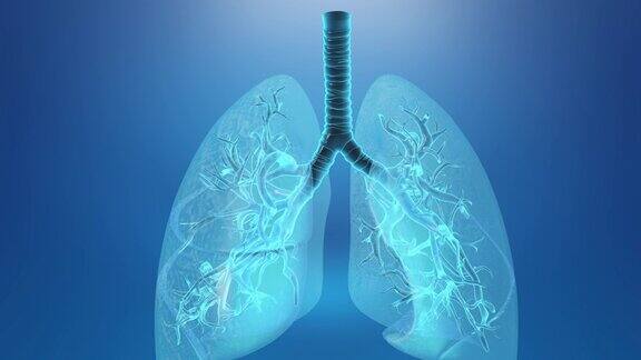 肺和气管医学背景