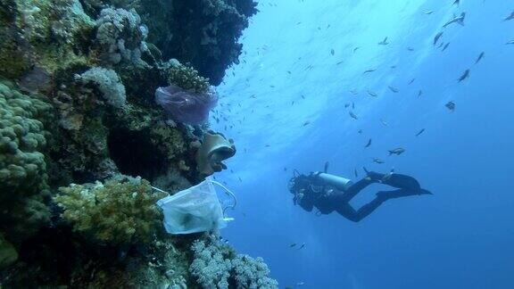 用过的塑料袋和口罩挂在美丽的珊瑚礁墙上成群的热带鱼在周围游来游去戴水肺的潜水员正在被海洋的塑料污染所污染慢动作