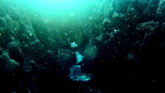 潜入深海表面附近