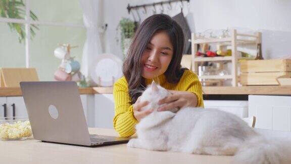 亚洲迷人的商业女性在笔记本电脑上打字看着她的猫年轻漂亮的女职员坐在桌子上快乐地享受着她的宠物同时在流行病期间在家工作