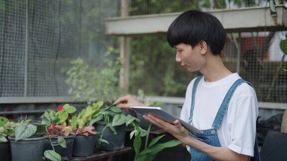 一名亚洲男子在检查植物时正在使用电子平板电脑