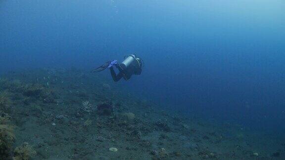 印度尼西亚潜水员在珊瑚礁中游泳(4K)