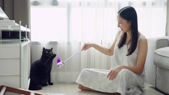 4K年轻的亚洲女子在客厅和黑猫玩耍