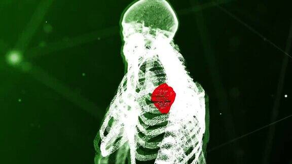 4K人体解剖和心脏详细背景