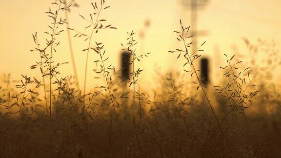 草原上的日落