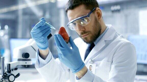 在一个现代实验室里食品科学家用注射器注射草莓他在研究这种产品的基因改造