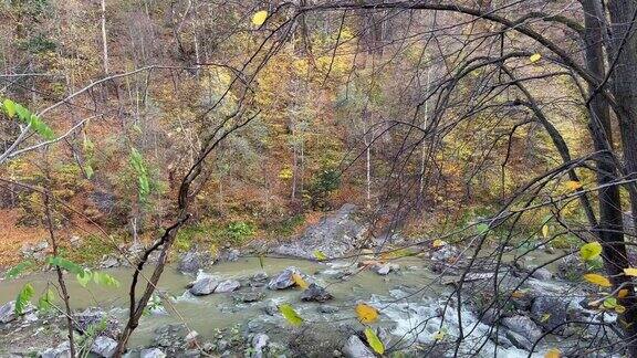 山河在秋天的森林里美丽的风景在山上