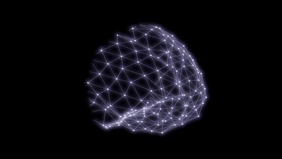 人脑三角形网格扫描3D渲染