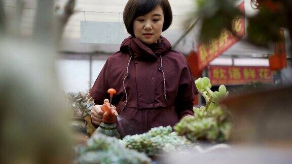 浇肉质植物的女人