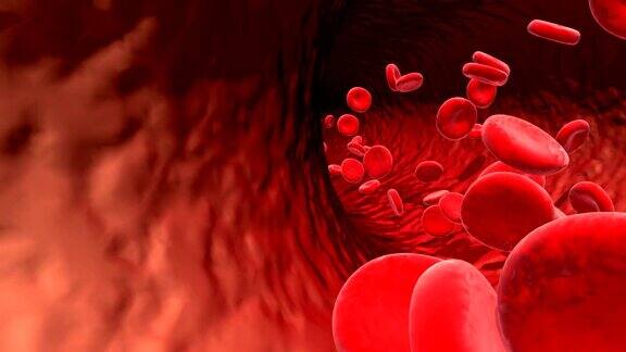 血细胞在血管中流动