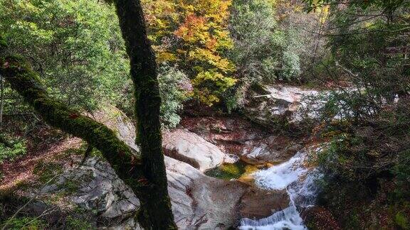 秋天的山谷里瀑布随着落叶流淌